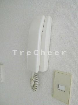 【セキュリティ】 | シーダーズフォレスト