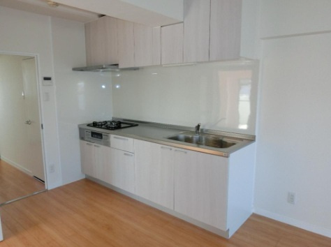 エクシード星が丘のキッチン