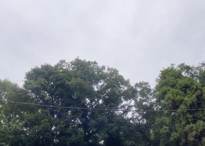 【展望】 | 東建座間ハイツ１号棟 | 景色重視でお家選ぶをするとスーパーが遠い！学校が遠い！など生活をするうえで利便性で困ることもあります。まず一度現地を見学する際に、周辺の施設などがあるかを確認し、暮らし始めた後のことを想像しましょう。