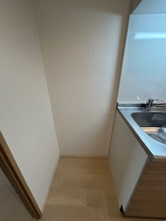 S-FORT江坂垂水町(旧：サムティ江坂Vangelo)のその他