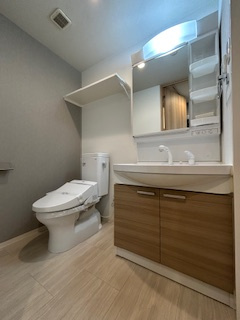 S-FORT江坂垂水町(旧：サムティ江坂Vangelo)の洗面所|洗面所です