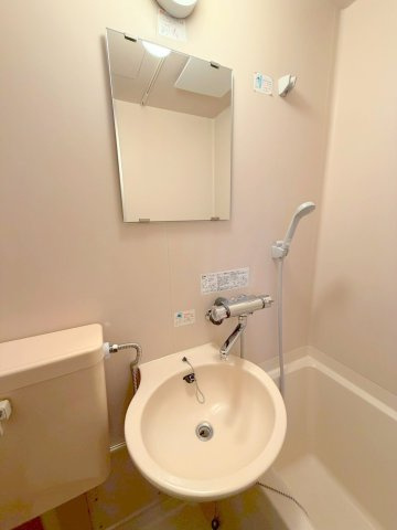 シャテニエの洗面所