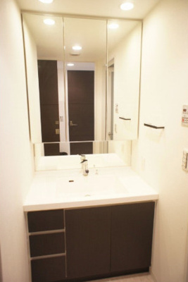 【独立洗面台】 | フェローネ入谷