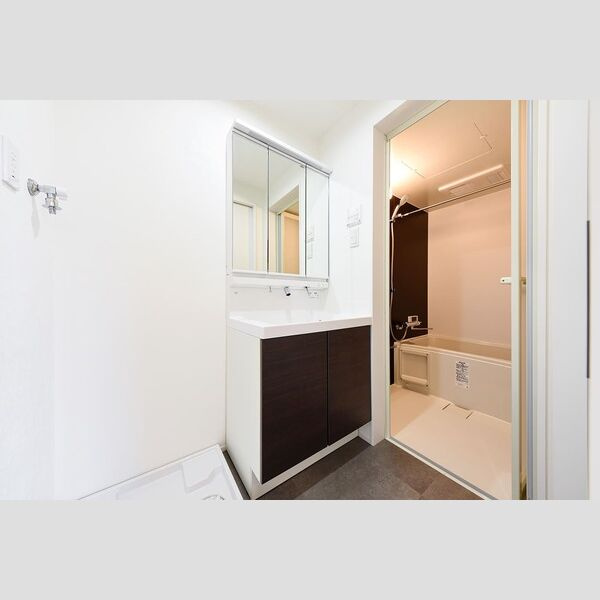 jack ashinoya Ⅰの洗面所