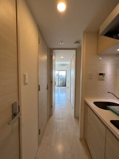 S-RESIDENCE江坂Alegriaの内装|内装です