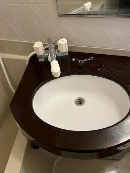 ワコーレ川口Ⅲの洗面所