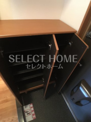  | ブルーサンズ ロフティー