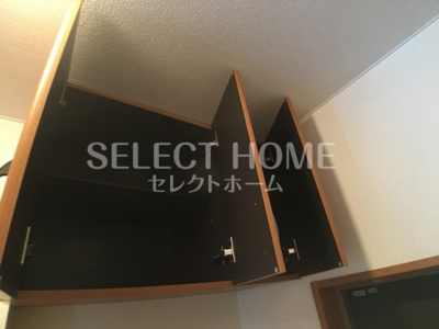  | ブルーサンズ ロフティー