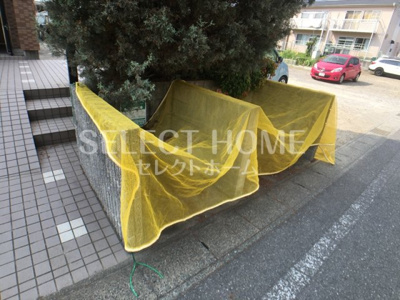  | ブルーサンズ ロフティー