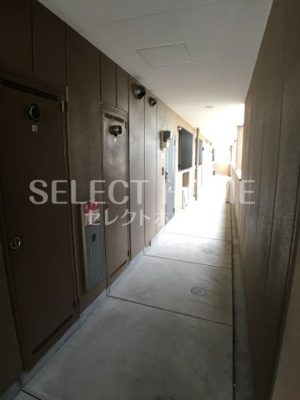  | ブルーサンズ ロフティー