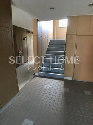  | ブルーサンズ ロフティー