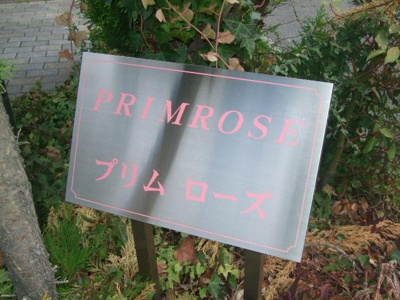 【その他】 | ＰＲＩＭＲＯＳＥ（プリムローズ） | その他