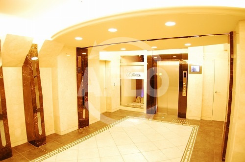 プレサンス難波リバーオアシスのエントランス|プレサンス難波リバーオアシス　エントランス