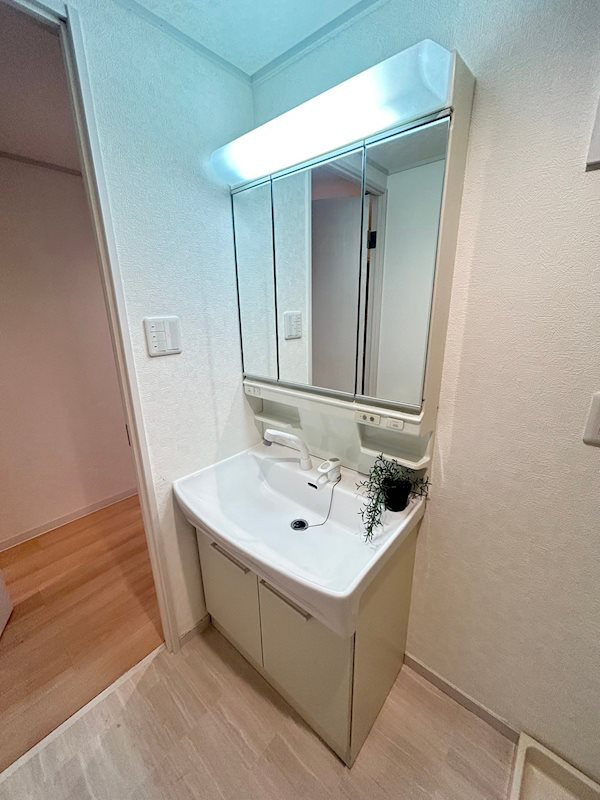 東急ドエル摩耶の洗面所