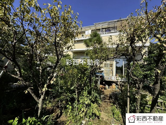 入間市小谷田３丁目中古住宅の庭|庭には多彩な果樹が実り季節ごとの収穫を楽しめます♪（柿、ブドウ、ミカン等）