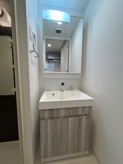 S-RESIDENCE江坂Eminenceの独立洗面台|独立洗面台、小物を置くことができて便利です