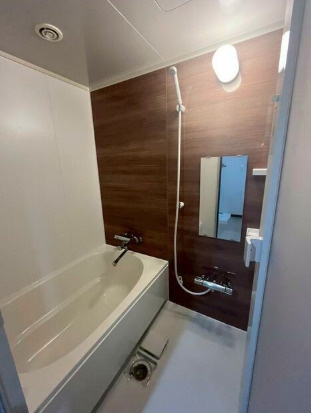 ヒューリック浅草一丁目の浴室