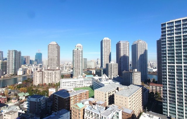 ライオンズタワー月島の展望