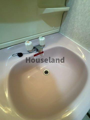 グリーンフルうちはらの洗面所