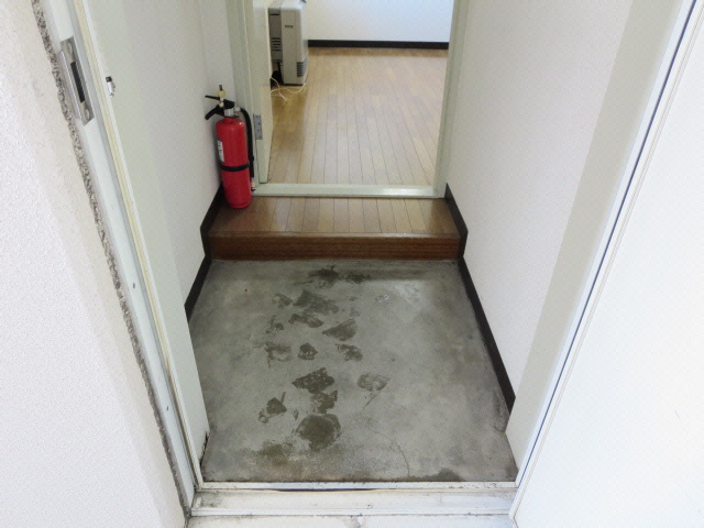 コスモスマンションの玄関