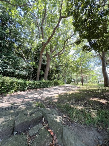 吹抜け×ロフト×板張り天井」光とデザインの家の周辺