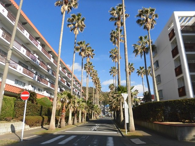 海一望！逗子マリーナ7号棟　5階　最上階の周辺|周辺