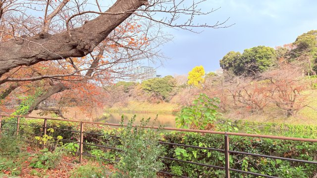 ★仲介手数料無料★ルミナス一番町(一番町に佇むヴィンテージ物件　新規リフォーム済み）の周辺