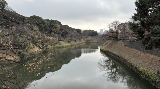 ★仲介手数料無料★ルミナス一番町(一番町に佇むヴィンテージ物件　新規リフォーム済み）の周辺