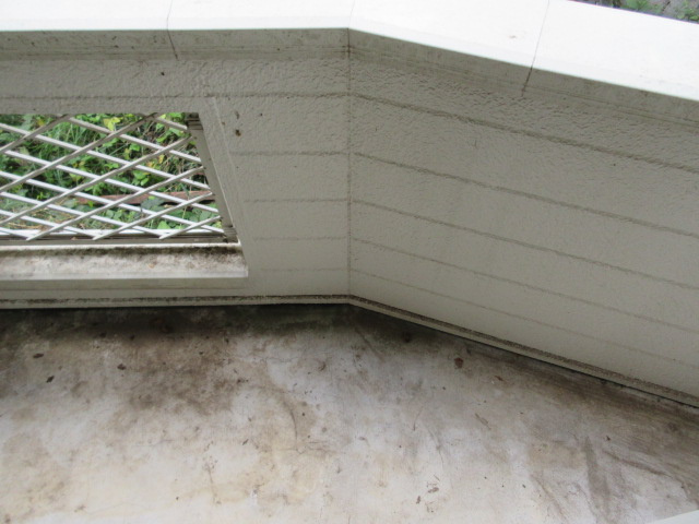 エバーグリーンハイツのバルコニー