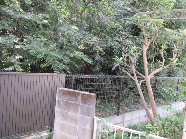 エバーグリーンハイツの展望