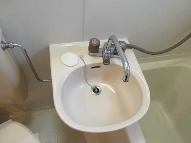 エバーグリーンハイツの洗面所