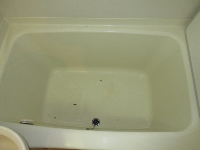 エバーグリーンハイツの浴室