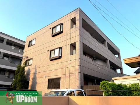 スパイクナード