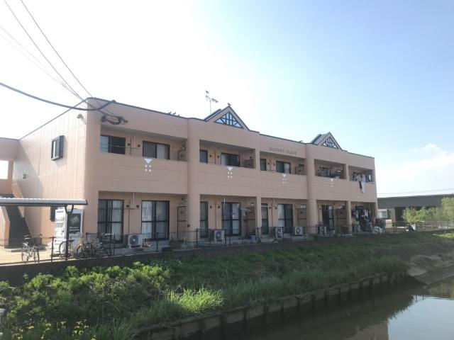 サニープレイス