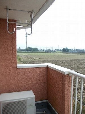 アマランスＦの展望