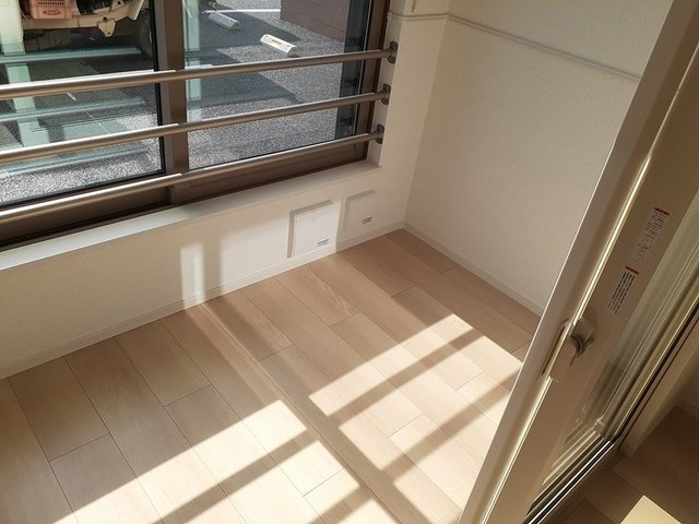 イアースⅡのその他