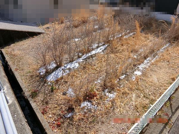 【外観】 | 高知市福井町