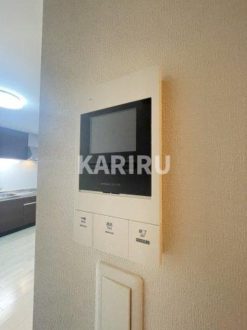 F asecia castorのセキュリティ