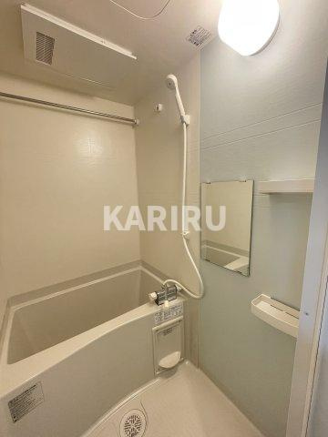 F asecia castorの浴室