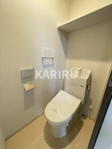 F asecia castorのトイレ