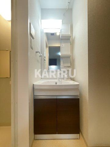 F asecia castorの洗面所