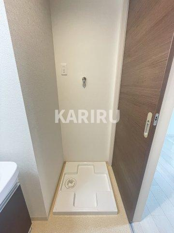 F asecia castorのその他