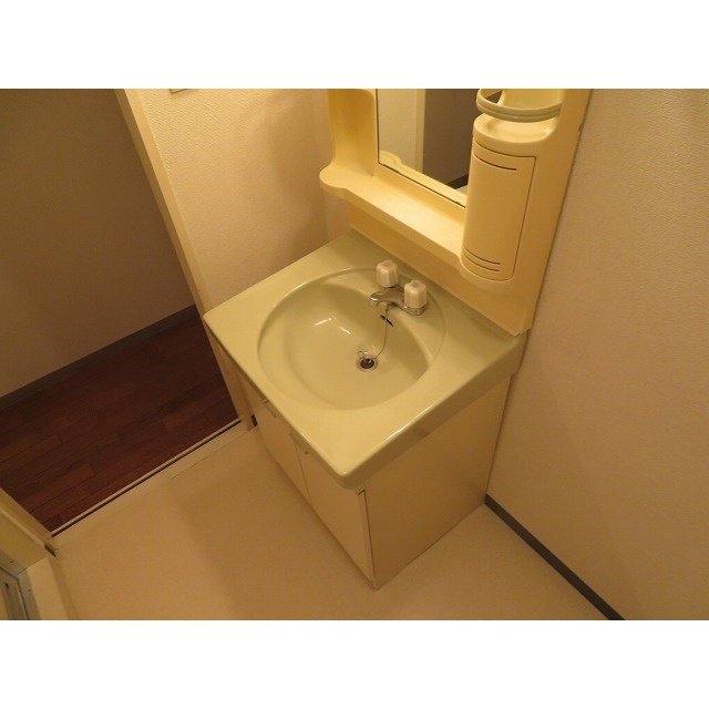 マインドホームズの洗面所