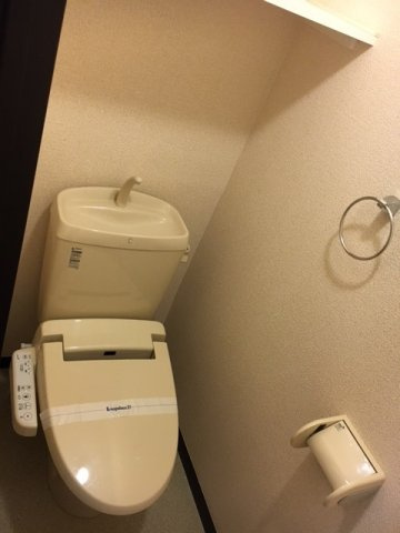 レオネクストカロータのその他