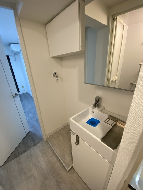 ジョイフル向ヶ丘遊園第２の洗面所