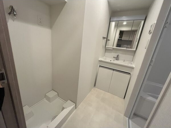 スプランディッド梅田グランノースの洗面所