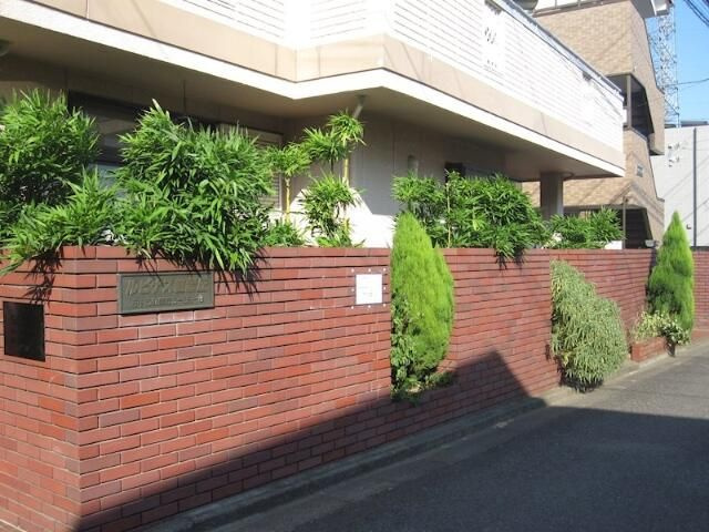 ルピナス紅葉丘