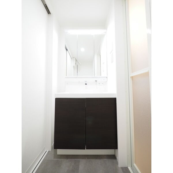 GRANDBLUE dotokushimmachi Ⅱの独立洗面台