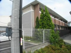 フォレスト・パルのその他