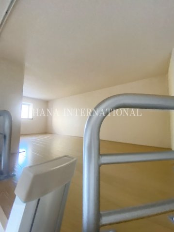 レオネクスト緑のその他